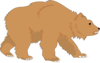Fluffy Brown Bear Clip Art